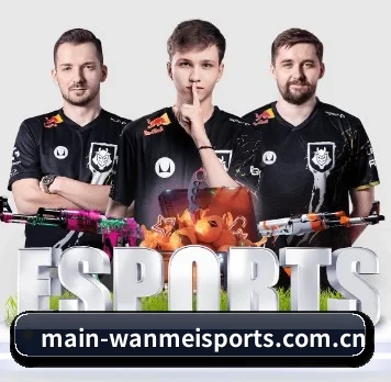 国际化进程 | WanmeiSports